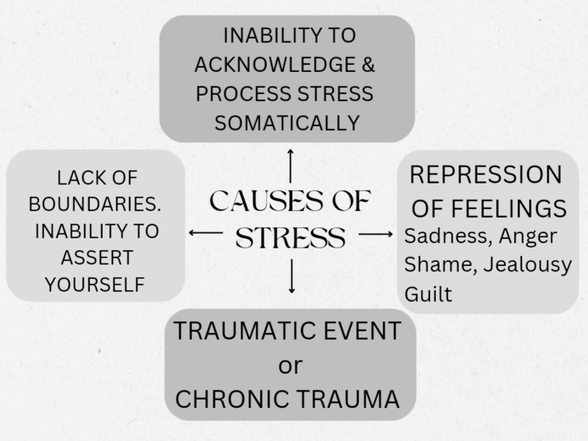 Causes of Stress