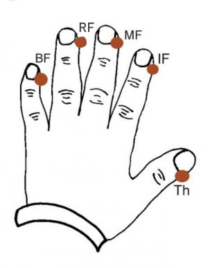 EFT-tapping-points