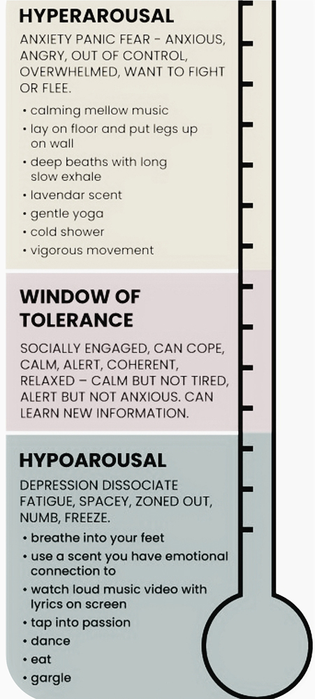 The Window Of Tolerance